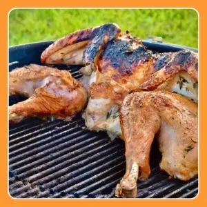 Grilled Turkey