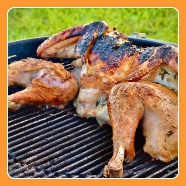 Grilled Turkey